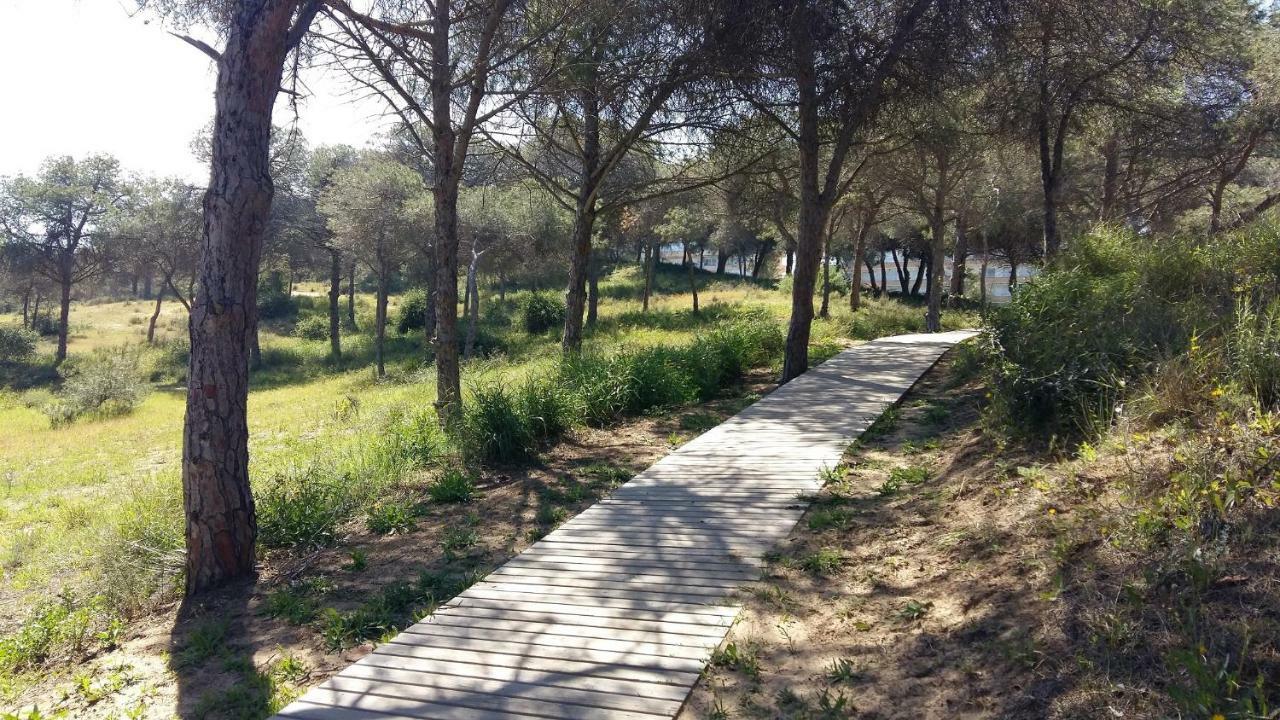 Studio Bellavista Lägenhet La Mata  Exteriör bild